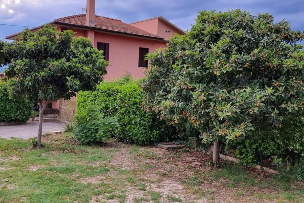 Casa Rosata * Magliano Sabina