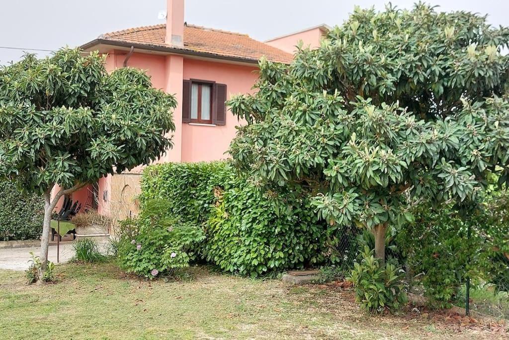 Casa Rosata *